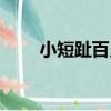 小短趾百靈（關于小短趾百靈簡介）
