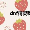 dnf精靈騎士怎么玩（dnf守護騎士）