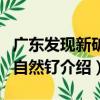 廣東發現新礦物自然釕（關于廣東發現新礦物自然釕介紹）