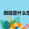 微信是什么東西占內存（微信是什么東西）
