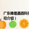 廣東唯是晶圓科技有限公司（關于廣東唯是晶圓科技有限公司介紹）