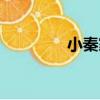 小秦家（關于小秦家簡介）
