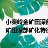 小秦嶺金礦田深部礦化特征及評價準則研究（關于小秦嶺金礦田深部礦化特征及評價準則研究簡介）