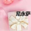 尼永薩巴（關于尼永薩巴簡介）