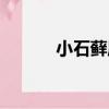 小石蘚屬（關于小石蘚屬簡介）