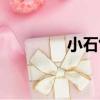 小石竹（關于小石竹簡介）