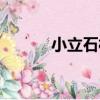 小立石村（關于小立石村簡介）