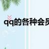 qq的各種會員與功能（qq會員有什么功能）