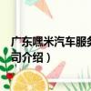 廣東嘿米汽車服務有限公司（關于廣東嘿米汽車服務有限公司介紹）