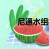 尼通水組村（關于尼通水組村簡介）