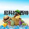 尼科拉·西特羅（關于尼科拉·西特羅簡介）