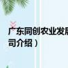 廣東同創農業發展有限公司（關于廣東同創農業發展有限公司介紹）