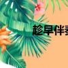 趁早伴奏李琦 mp3（趁早伴奏）