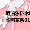 尼泊爾榿木臨翔家系01號（關于尼泊爾榿木臨翔家系01號簡介）