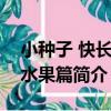 小種子 快長大 水果篇（關于小種子 快長大 水果篇簡介）