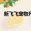新飛飛寵物升星副寵數（新飛飛寵物加點）