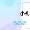 小禮物（關于小禮物簡介）