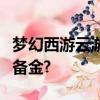 夢幻西游云游仙人屬性點分配消耗現金還是儲備金?