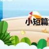 小短篇集（關于小短篇集簡介）