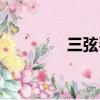 三弦琴音樂（暴風三弦琴）