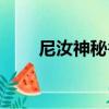 尼汝神秘谷（關于尼汝神秘谷簡介）