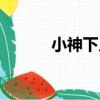 小神下凡（關于小神下凡簡介）
