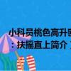 小科員桃色高升密碼：扶搖直上（關于小科員桃色高升密碼：扶搖直上簡介）
