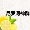 尼羅河神群像（關于尼羅河神群像簡介）