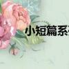 小短篇系列（關于小短篇系列簡介）