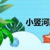 小豎河路（關于小豎河路簡介）