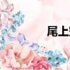尾上空（關于尾上空簡介）