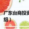 廣東臺商投資年鑒（關于廣東臺商投資年鑒介紹）