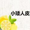 小矮人皮具（關于小矮人皮具簡介）