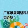 廣東唯晟網絡科技有限公司（關于廣東唯晟網絡科技有限公司介紹）