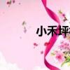 小禾坪村（關于小禾坪村簡介）
