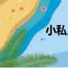 小私兒（關于小私兒簡介）