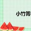 小竹箐村（關于小竹箐村簡介）
