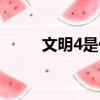 文明4是什么游戲（文明4好玩嗎）