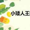 小矮人王國（關于小矮人王國簡介）