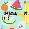小科員王十一第二部分房（關于小科員王十一第二部分房簡介）