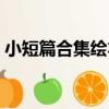 小短篇合集繪本（關于小短篇合集繪本簡介）