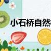 小石橋自然村（關于小石橋自然村簡介）