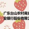 廣東臺山農村商業銀行股份有限公司（關于廣東臺山農村商業銀行股份有限公司介紹）