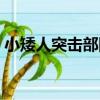 小矮人突擊部隊（關于小矮人突擊部隊簡介）