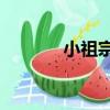 小祖宗2（關于小祖宗2簡介）