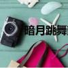暗月跳舞熊絕版了嗎（暗月跳舞熊）