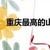 重慶最高的山海拔多少米（重慶最高的山）