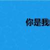 你是我的眼劇情（你是我的眼）