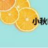 小秋葉（關于小秋葉簡介）