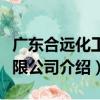 廣東合遠化工有限公司（關于廣東合遠化工有限公司介紹）